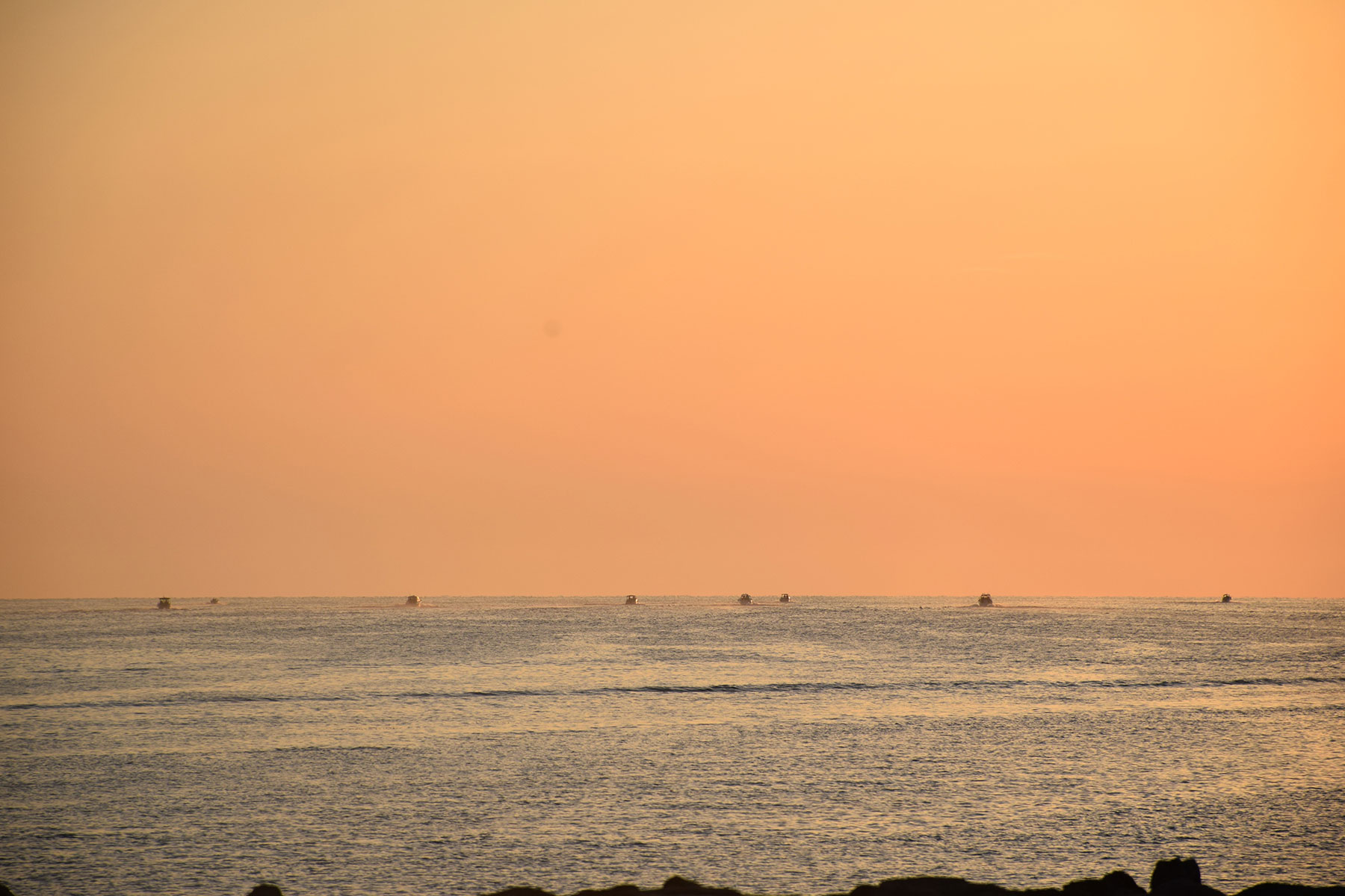 DSC_0028 DSC_0028
